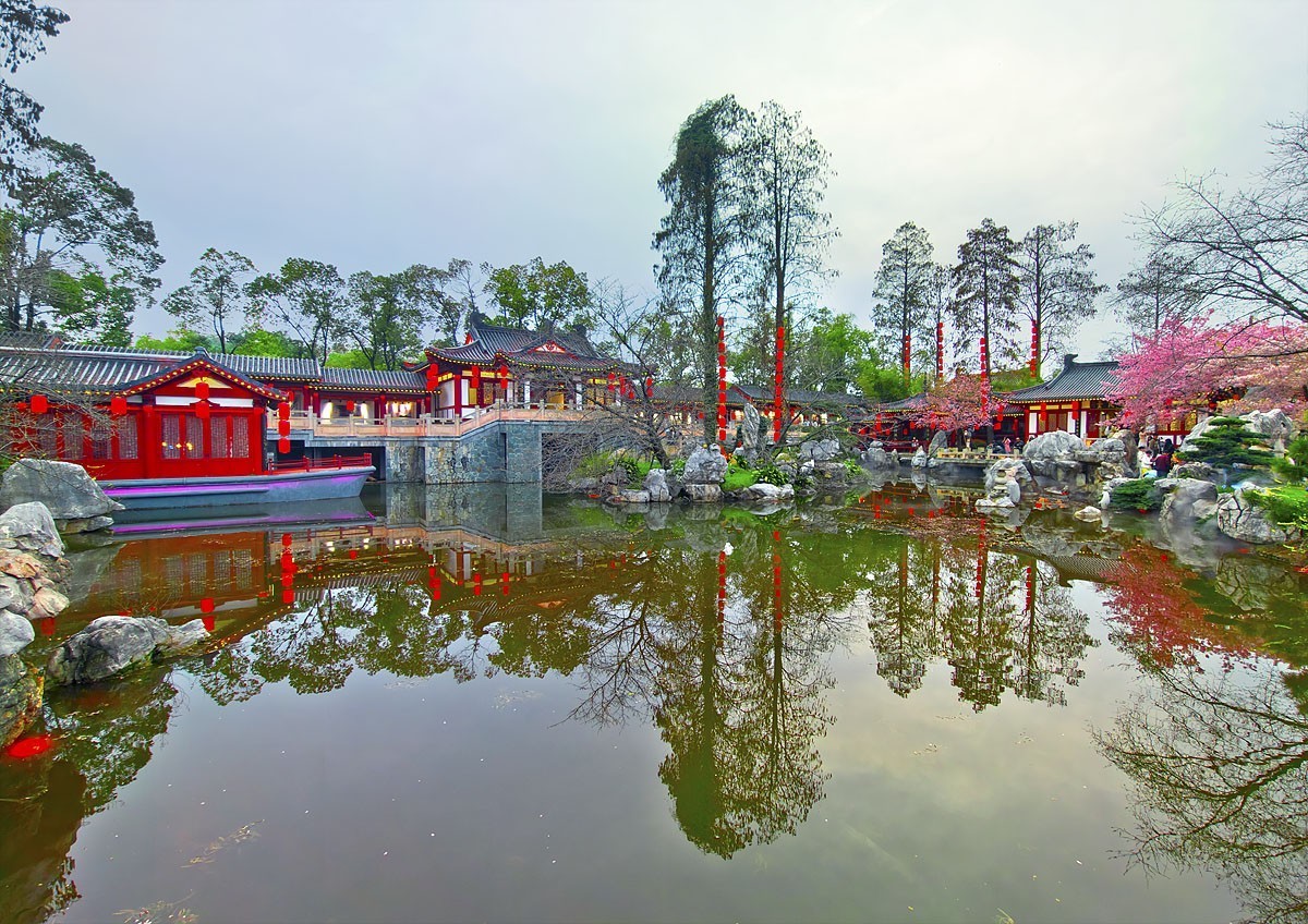 武汉东湖樱花园8