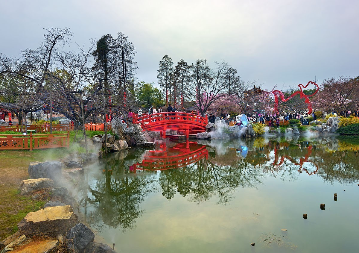 武汉东湖樱花园8