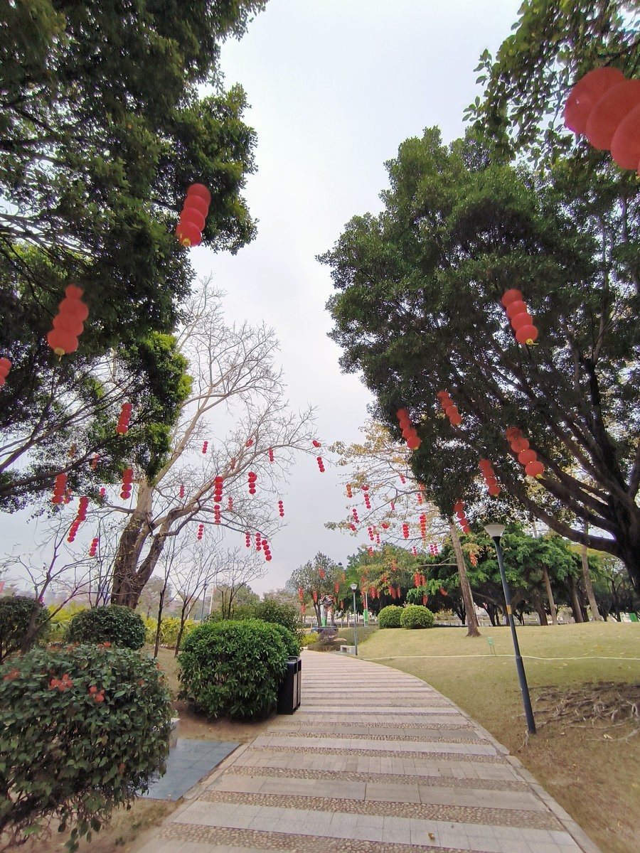 2025春节 广东行（144）会展公园