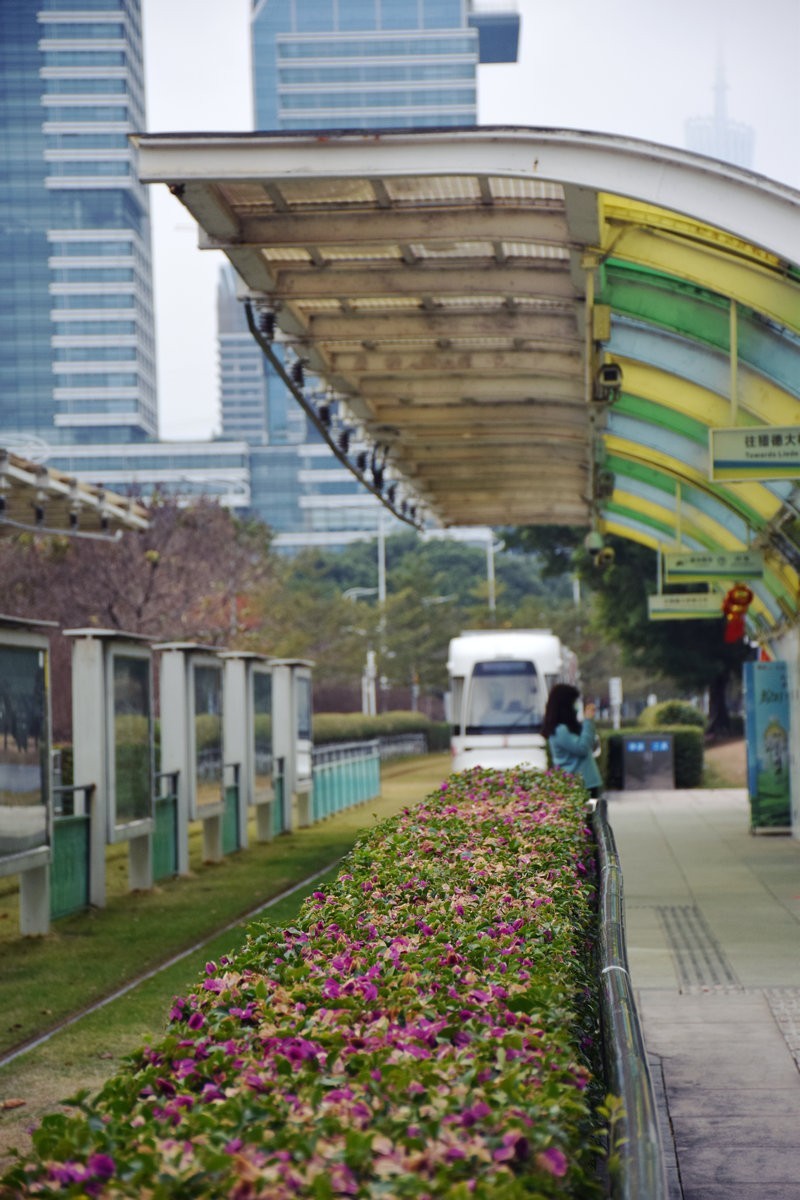 2025春节 广东行（144）会展公园