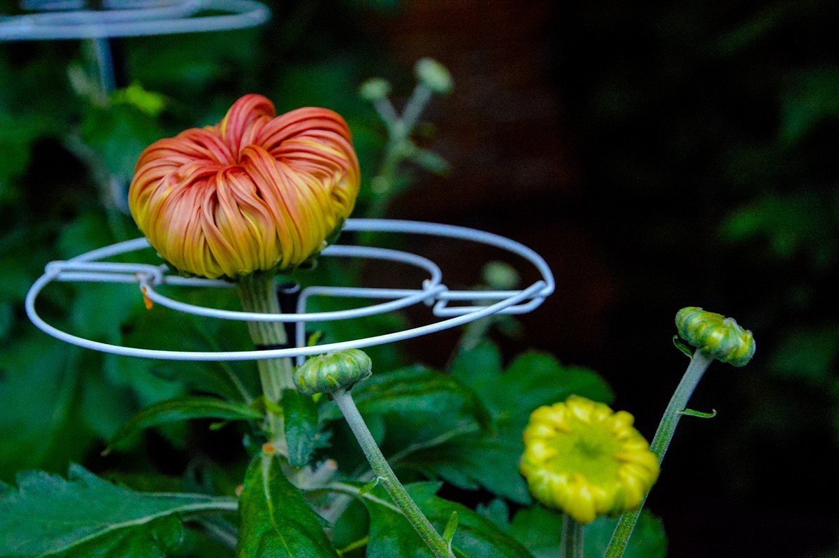 2019年名古屋随拍-24