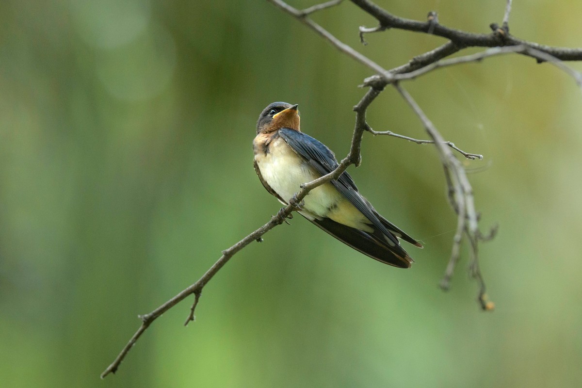 #合肥摄影星空(中国)精华展示#