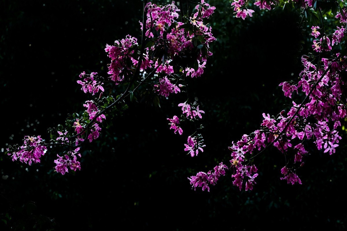 #合肥摄影星空(中国)精华展示#