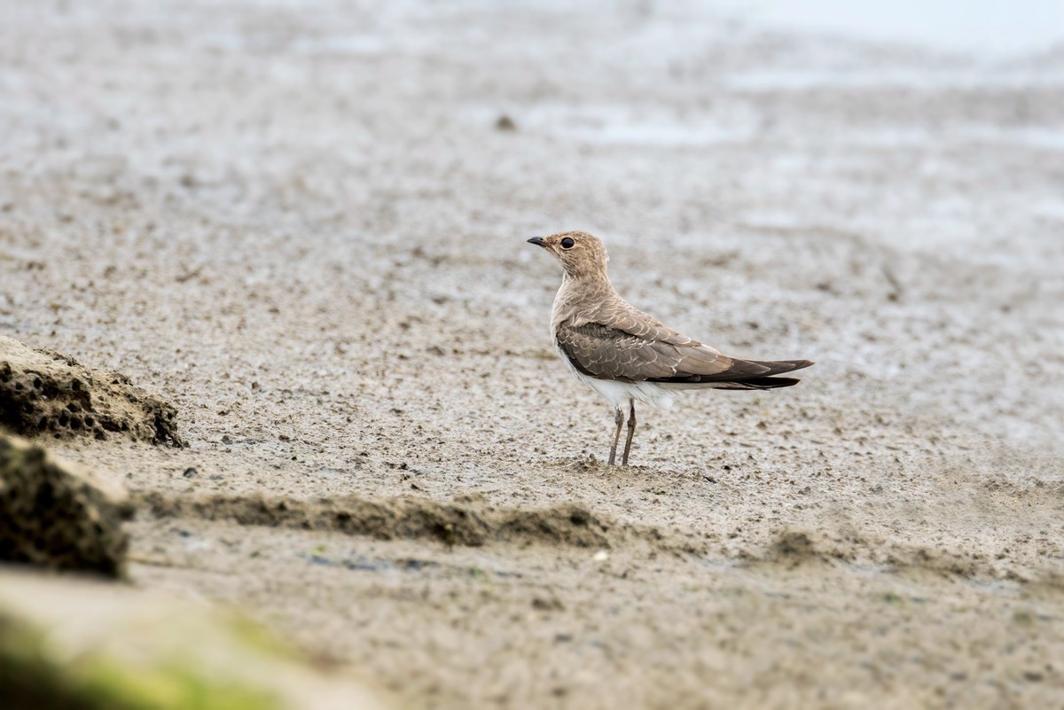 #合肥摄影星空(中国)精华展示#