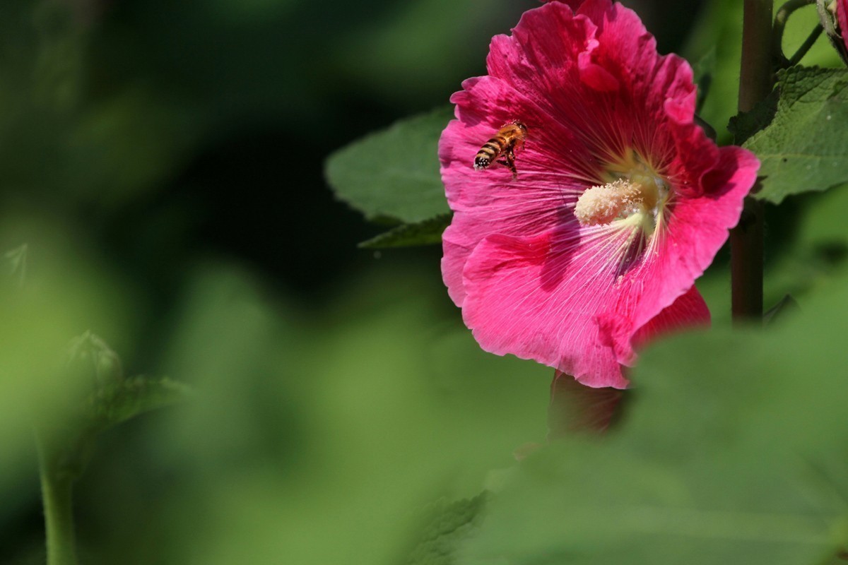 #合肥摄影星空(中国)精华展示#