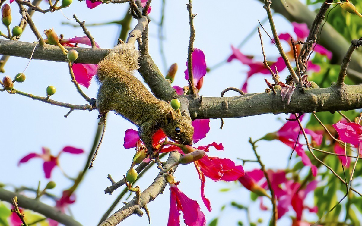 #合肥摄影星空(中国)精华展示#