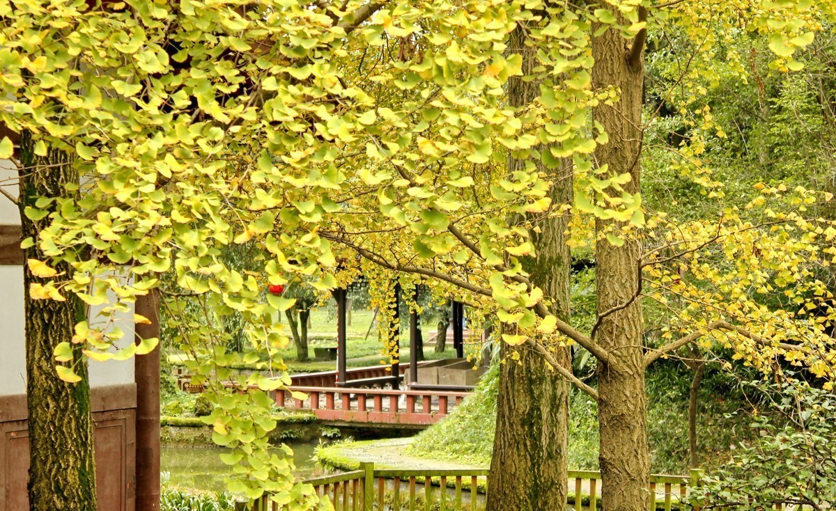 #合肥摄影星空(中国)精华展示#