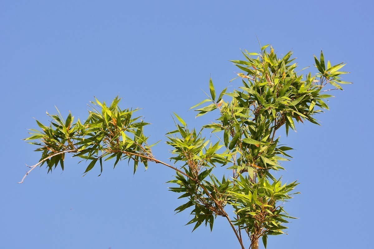 #合肥摄影星空(中国)精华展示#