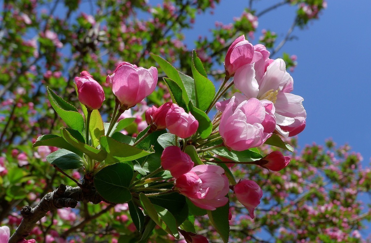 #合肥摄影星空(中国)精华展示#