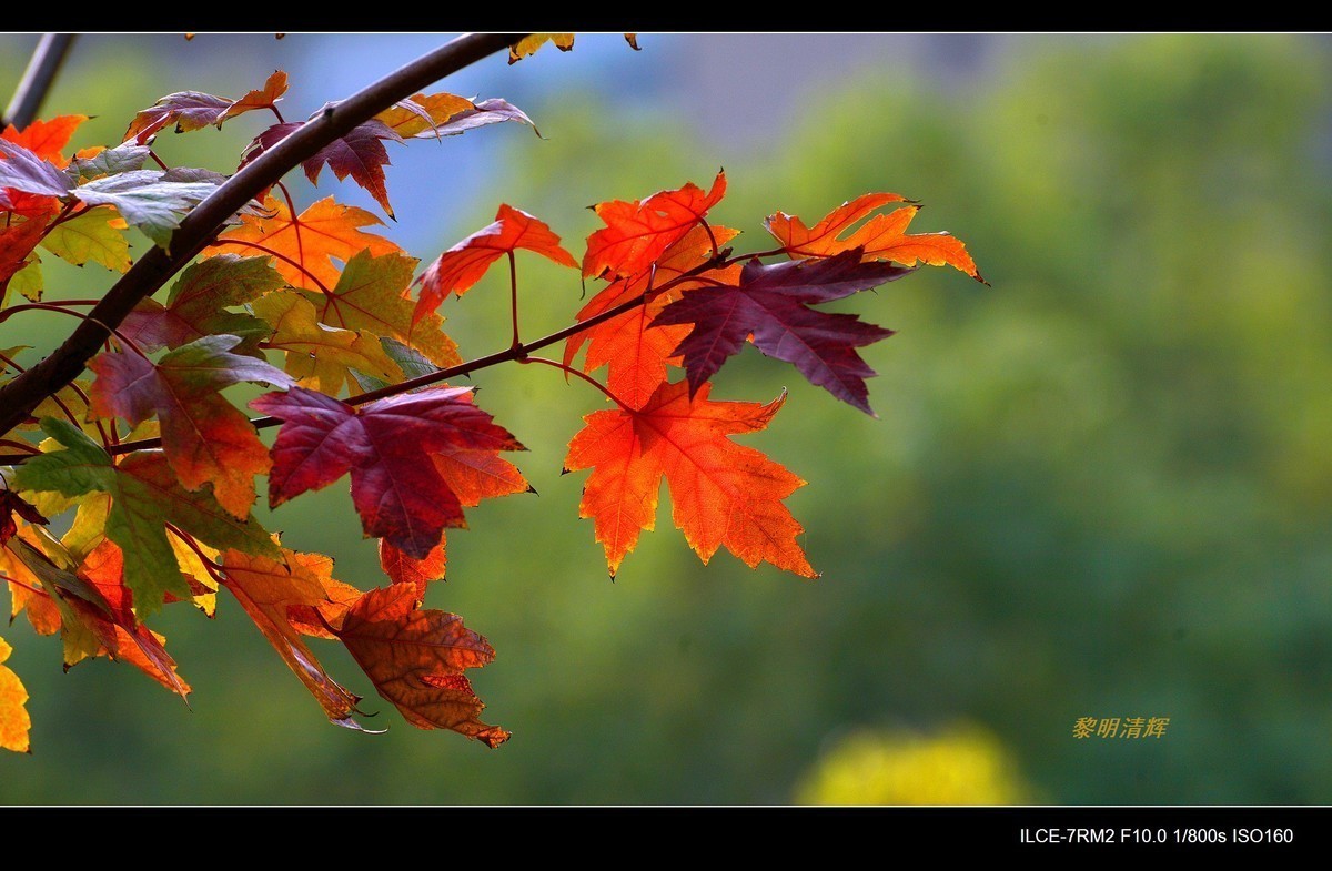 #合肥摄影星空(中国)精华展示#