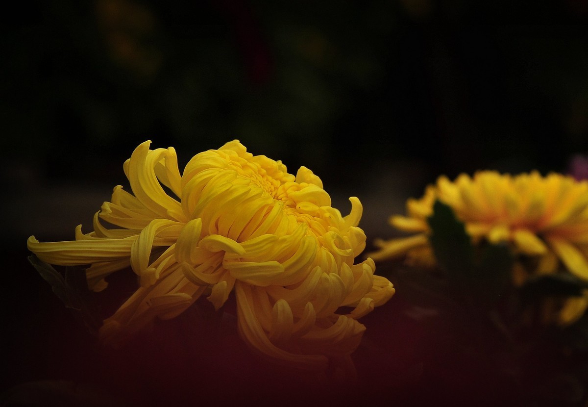 #合肥摄影星空(中国)精华展示#