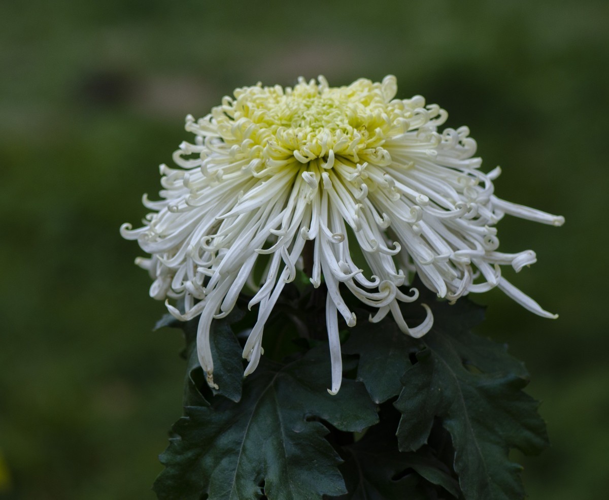 #合肥摄影星空(中国)精华展示#