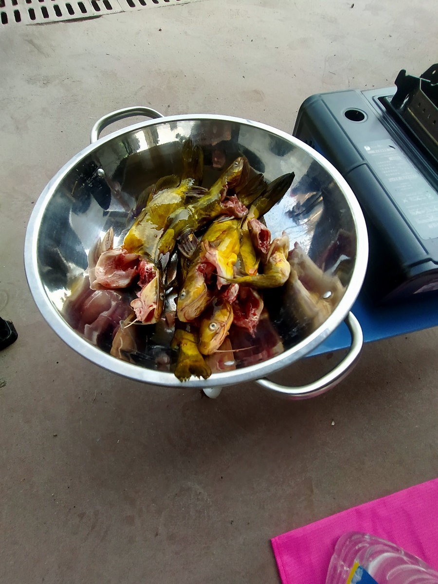 漫步星城 走街串巷（196）春游踏青  别忘野炊