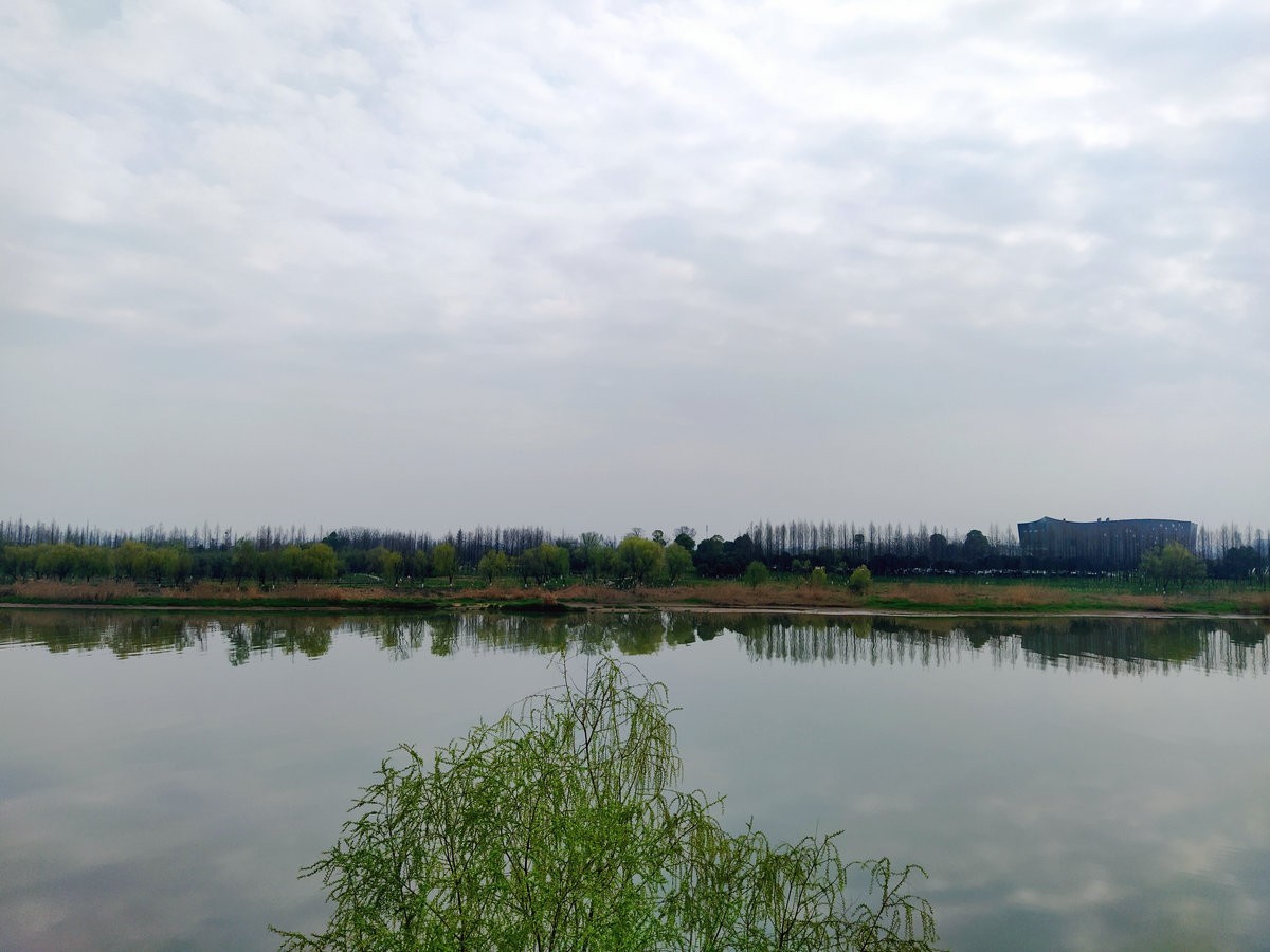 漫步星城 走街串巷（196）春游踏青  别忘野炊