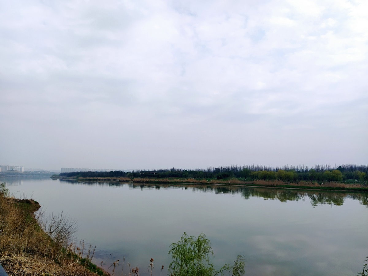 漫步星城 走街串巷（196）春游踏青  别忘野炊