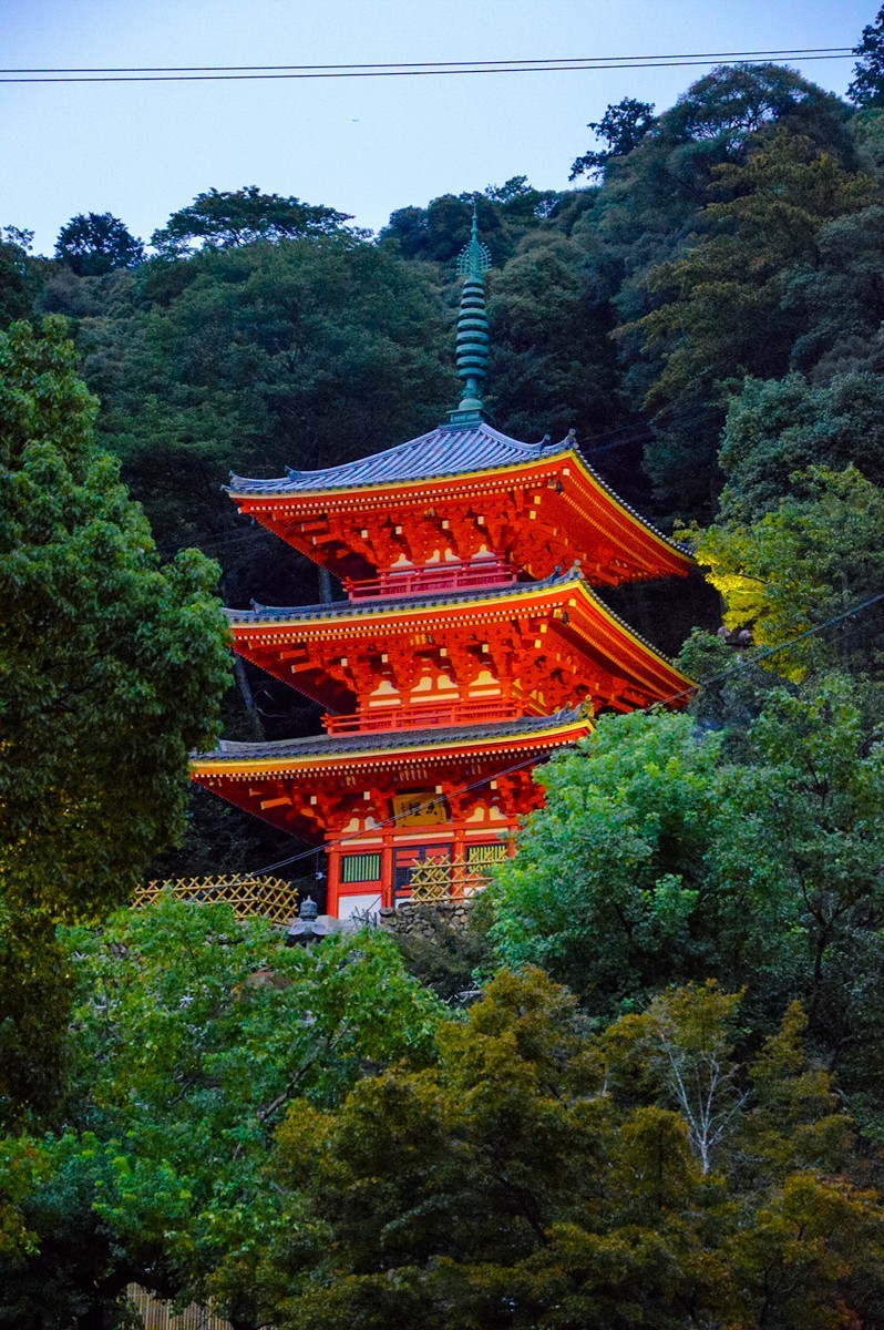 2019年名古屋随拍-26