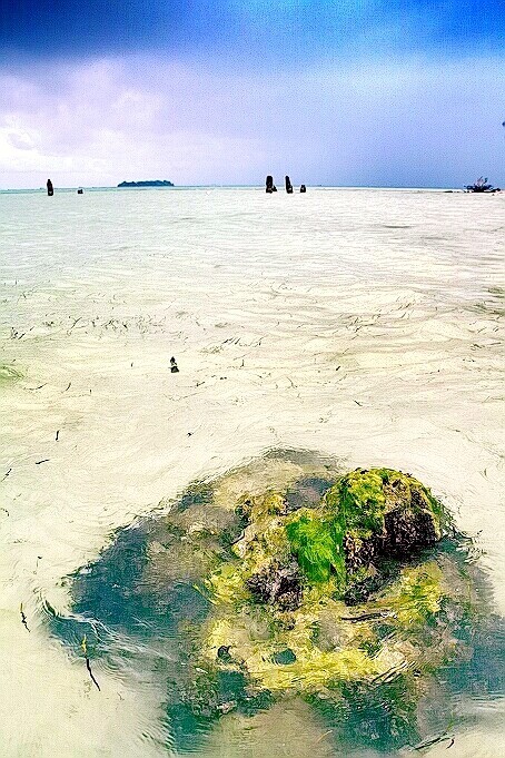 海景 / 2009
