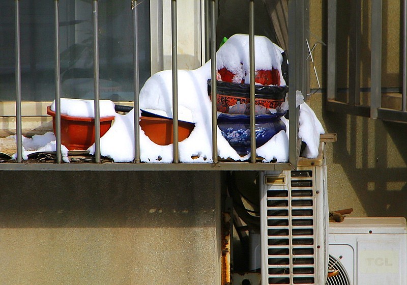 《不老松：纪实摄影》2024.2.22大雪后的第三天拍！对面楼遗雪景！