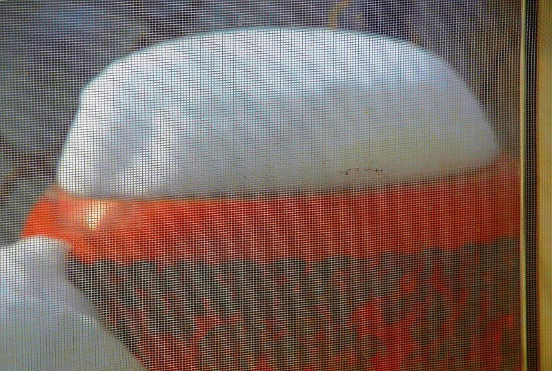 《不老松：纪实摄影》2024.2.22大雪后的第三天拍！对面楼遗雪景！