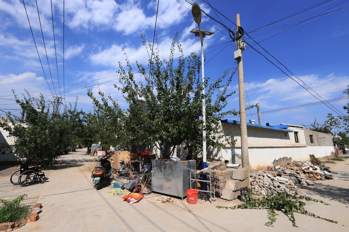 真实的村容村貌