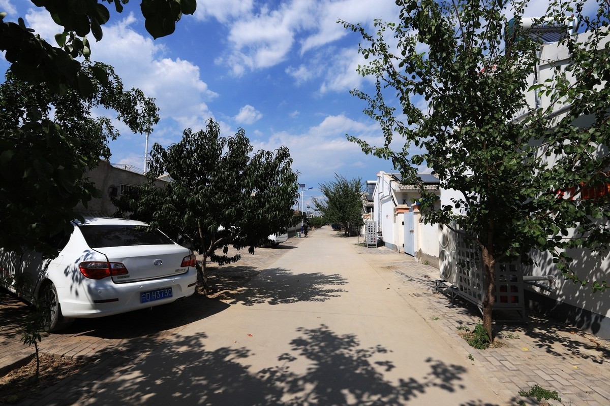 真实的村容村貌