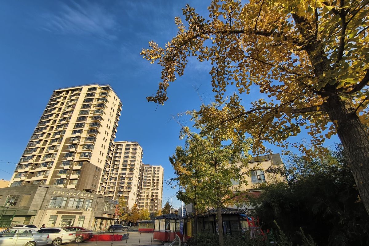 初冬晴朗的早晨