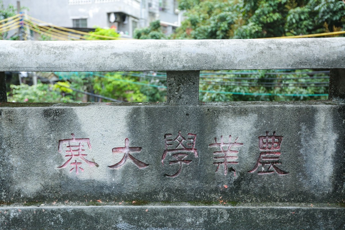 古村落小洲村