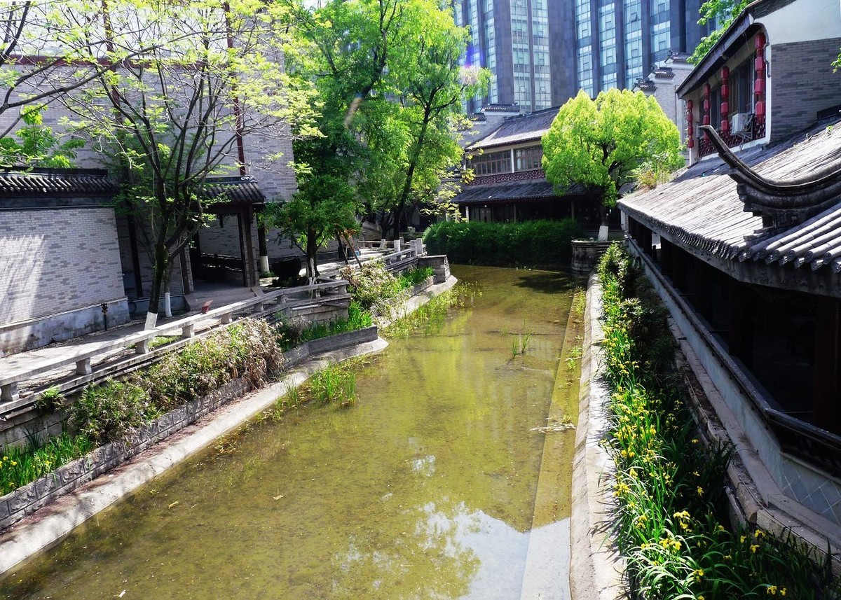 成都龙潭水乡再拍之三