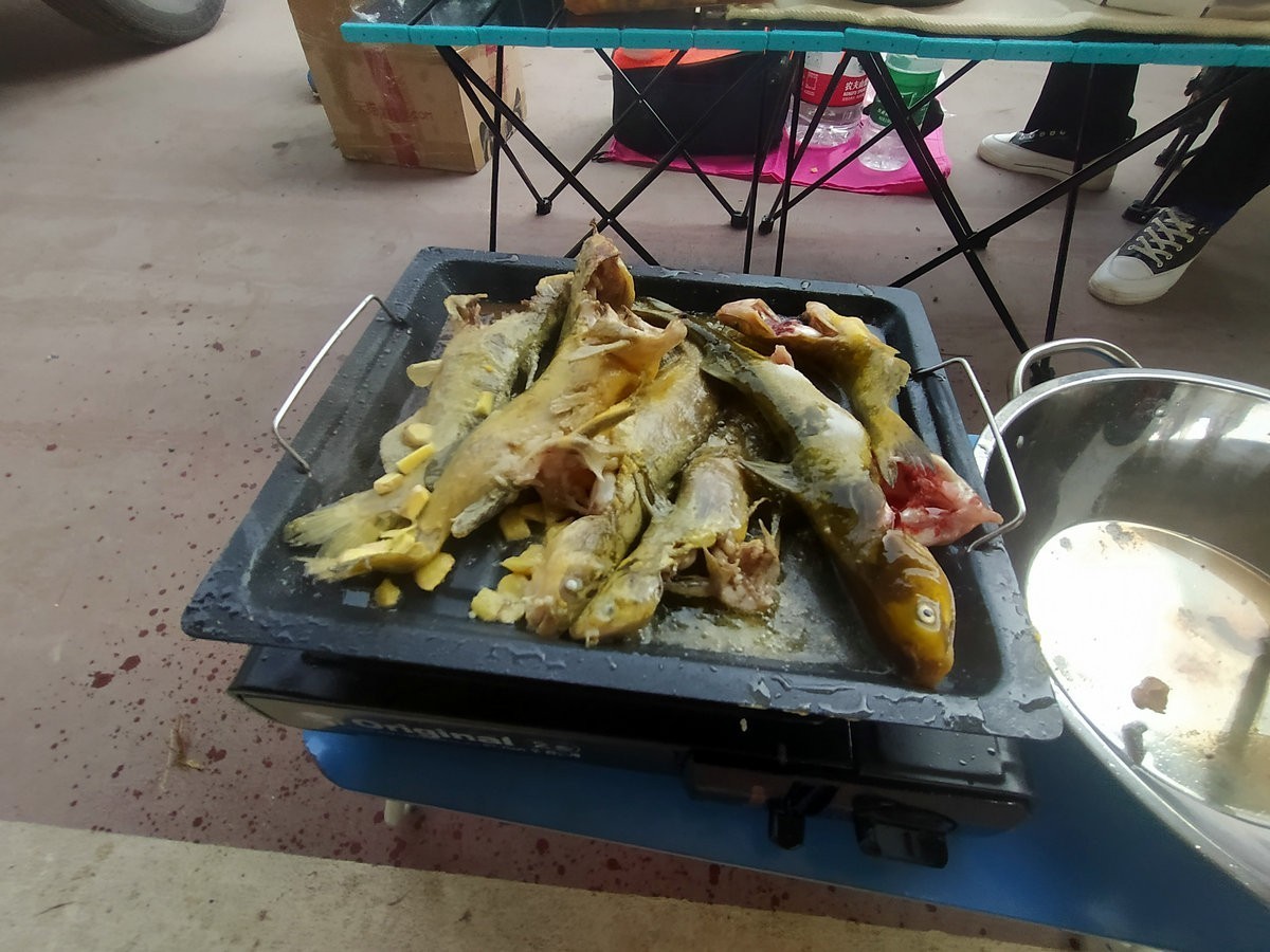 漫步星城 走街串巷（196）春游踏青  别忘野炊