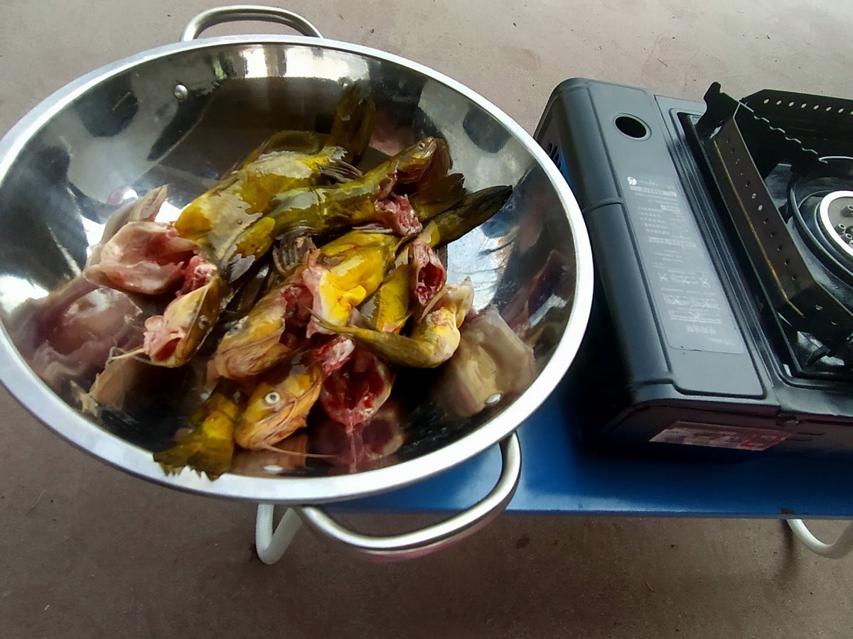 漫步星城 走街串巷（196）春游踏青  别忘野炊