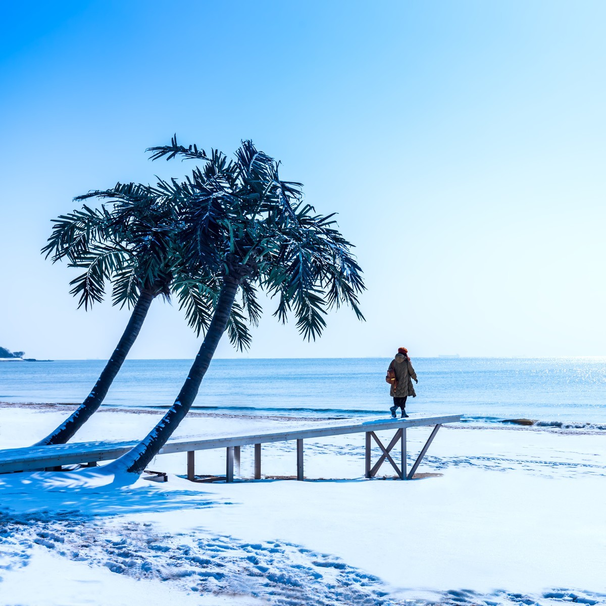 海滩雪景