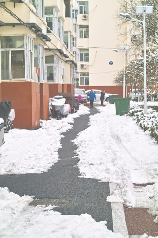 初春的雪（之四）
