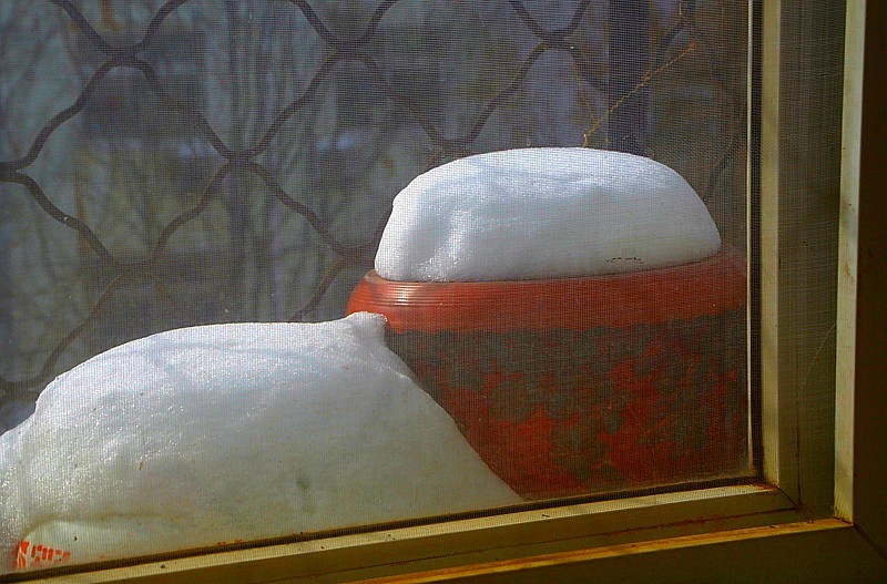 《不老松：纪实摄影》2024.2.22大雪后的第三天拍！对面楼遗雪景！