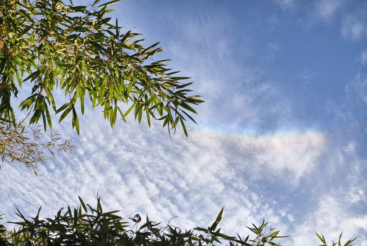 初冬晴朗的早晨