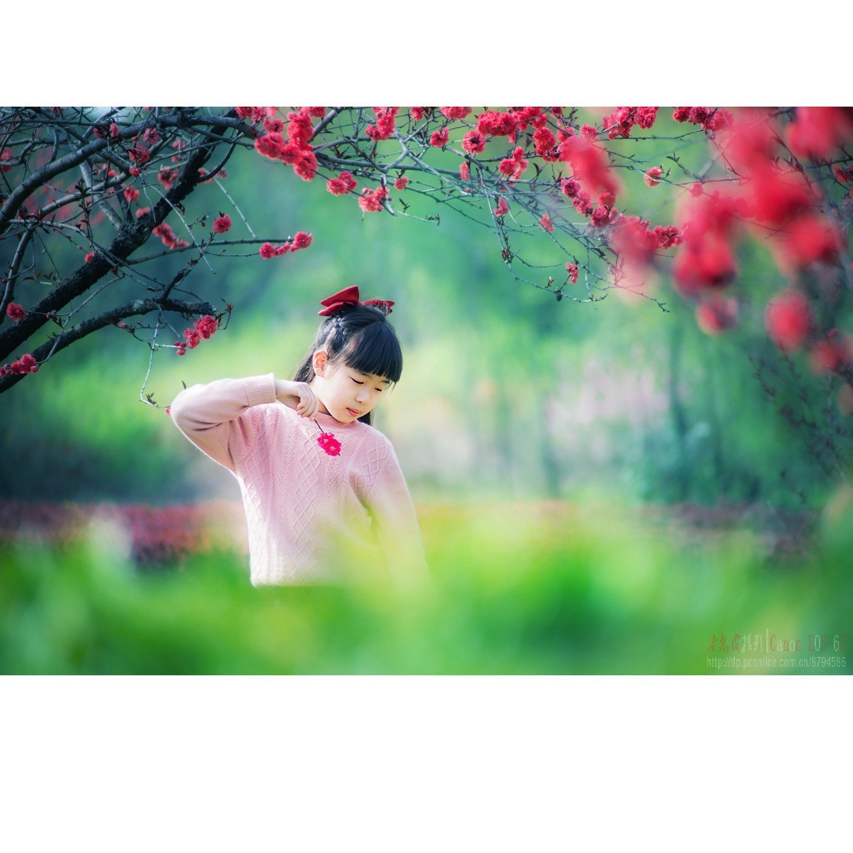 春天里的小天使