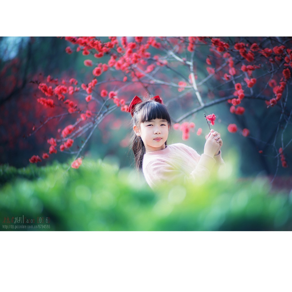 春天里的小天使