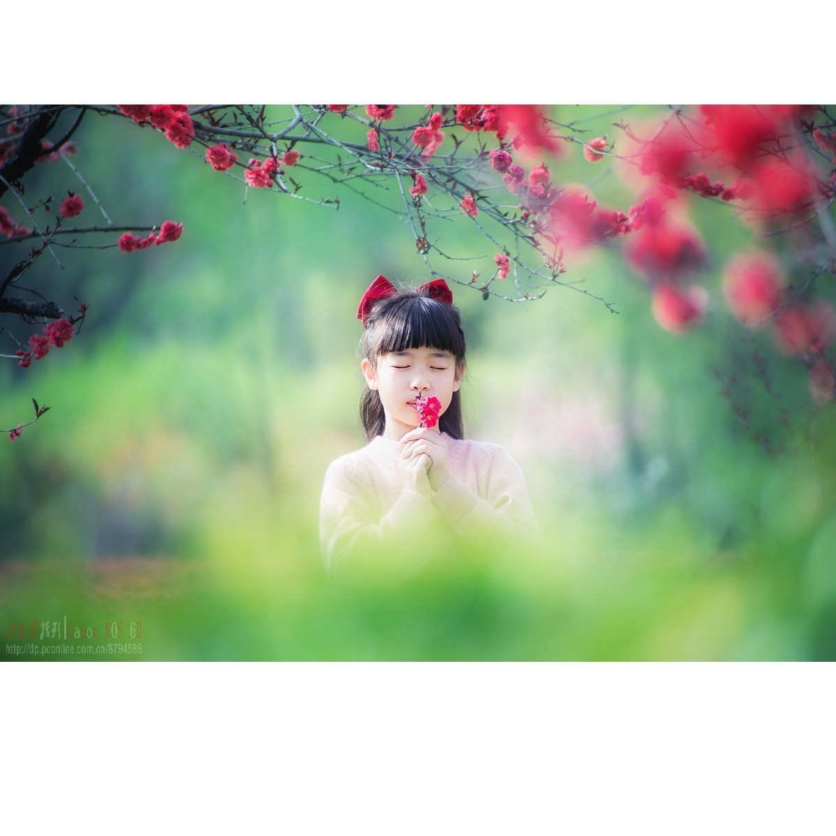 春天里的小天使