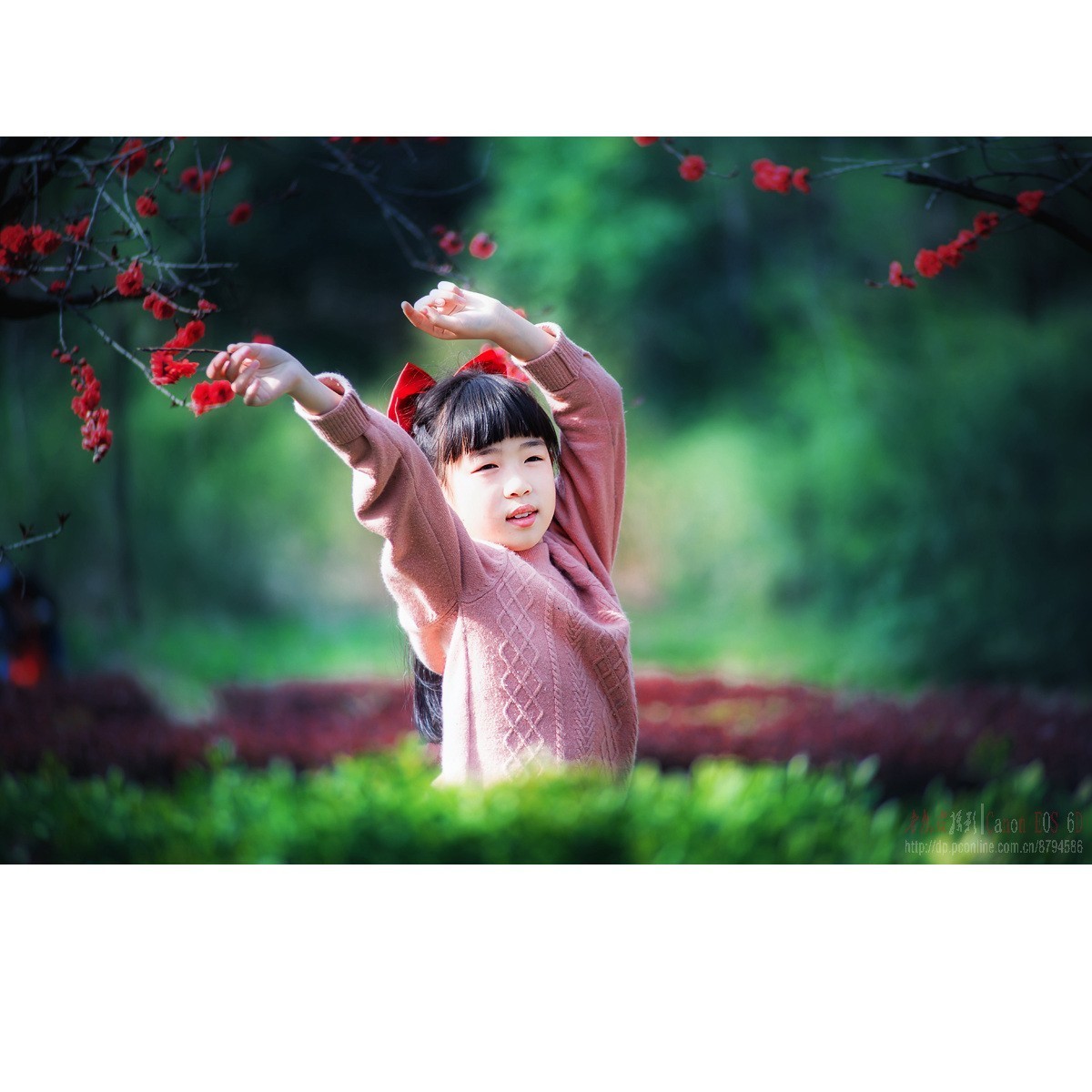 春天里的小天使