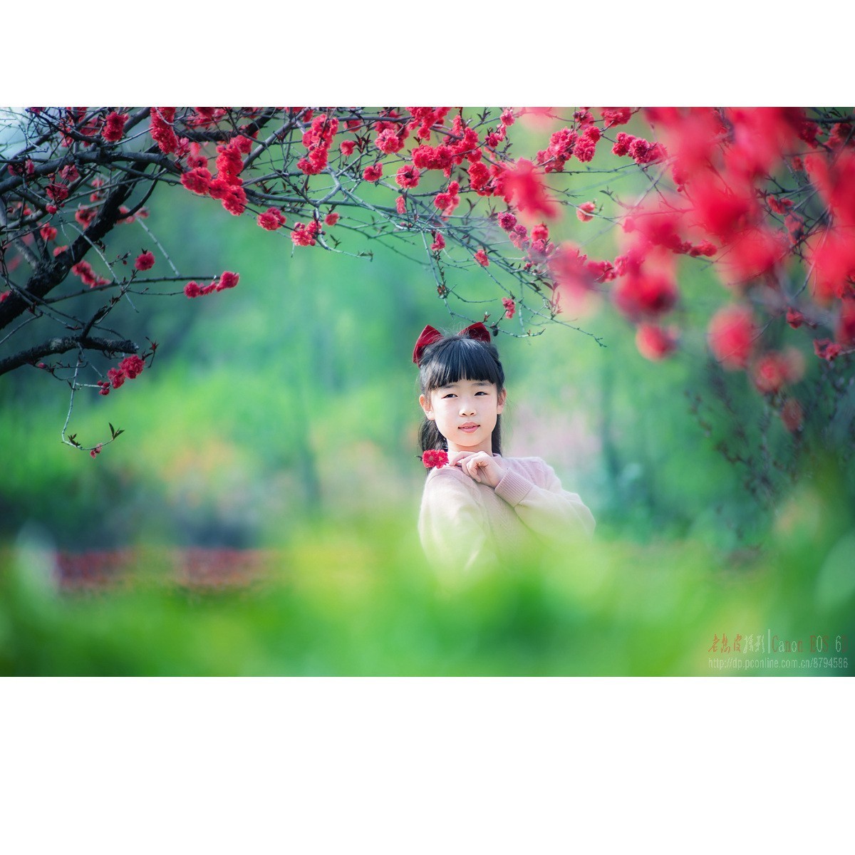 春天里的小天使