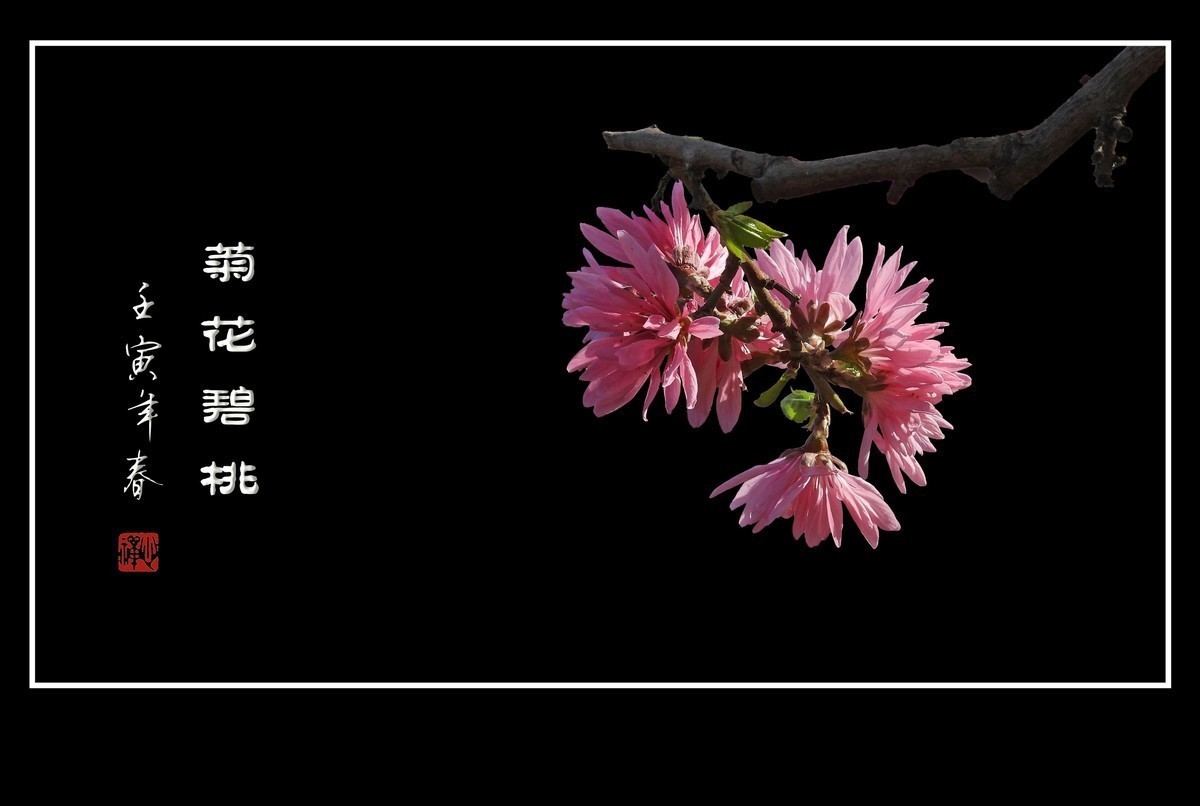 #版主坐堂#小五星空(中国)2022年4月精品荟萃