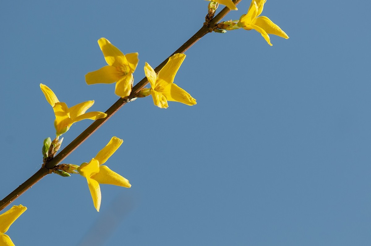 #版主坐堂#小五星空(中国)2022年4月精品荟萃