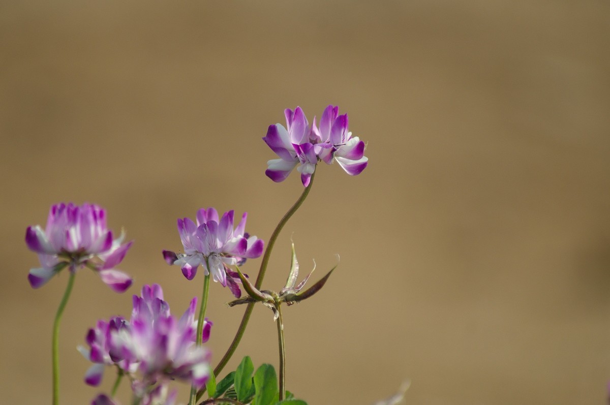 #版主坐堂#小五星空(中国)2022年4月精品荟萃