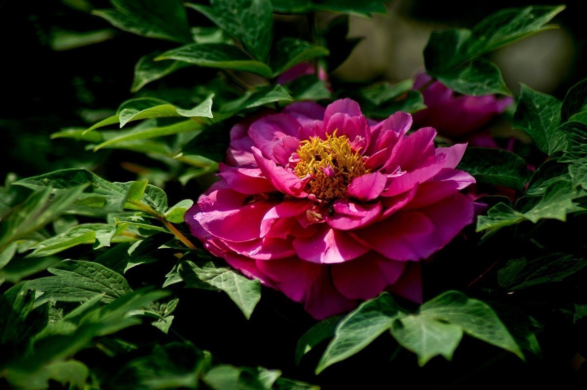 #版主坐堂#小五星空(中国)2022年4月精品荟萃