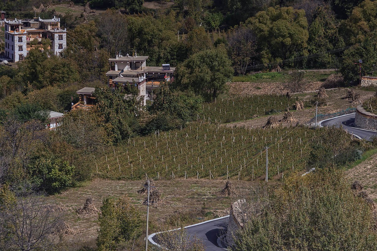 #留住美丽秋天#2019.10.丹巴中路藏寨