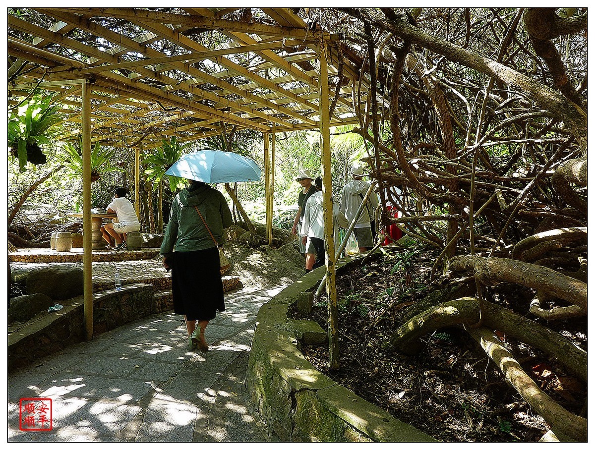 旅游随拍------ 三亚天涯海角风景(中)