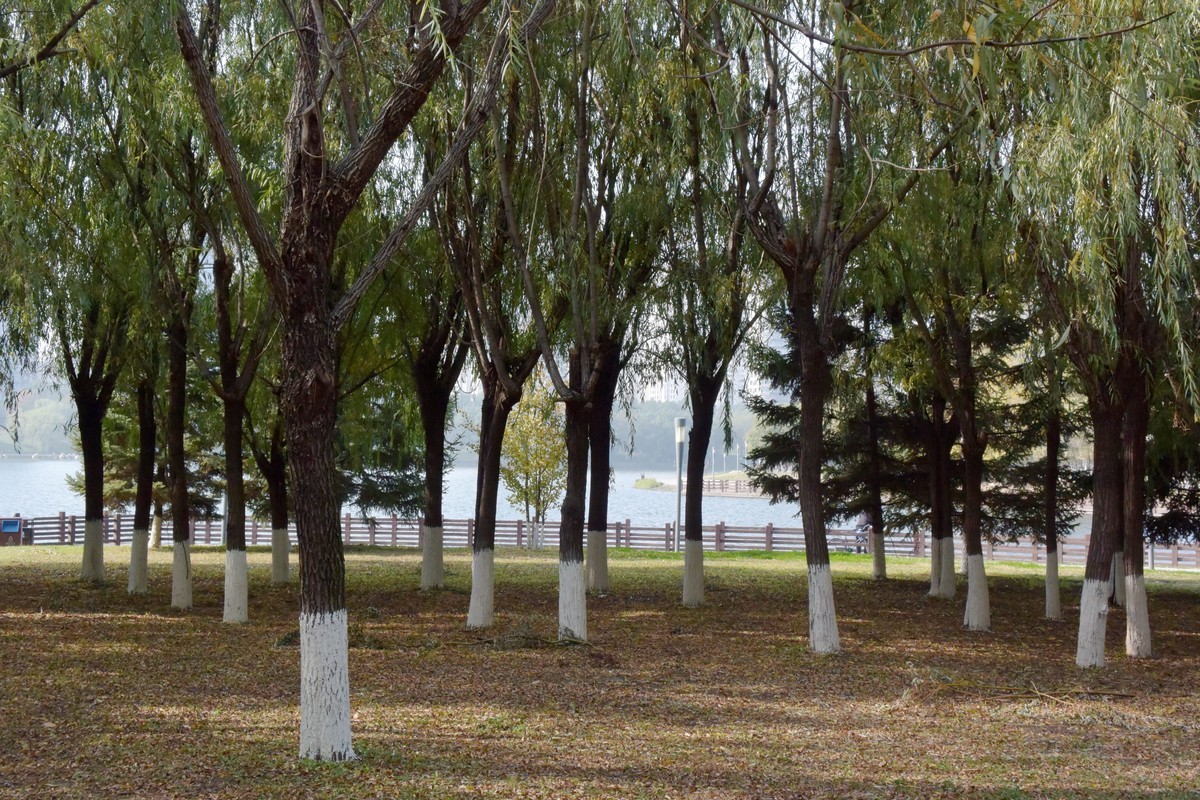 边走边拍（十一）