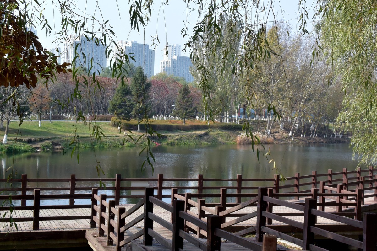 边走边拍（十一）