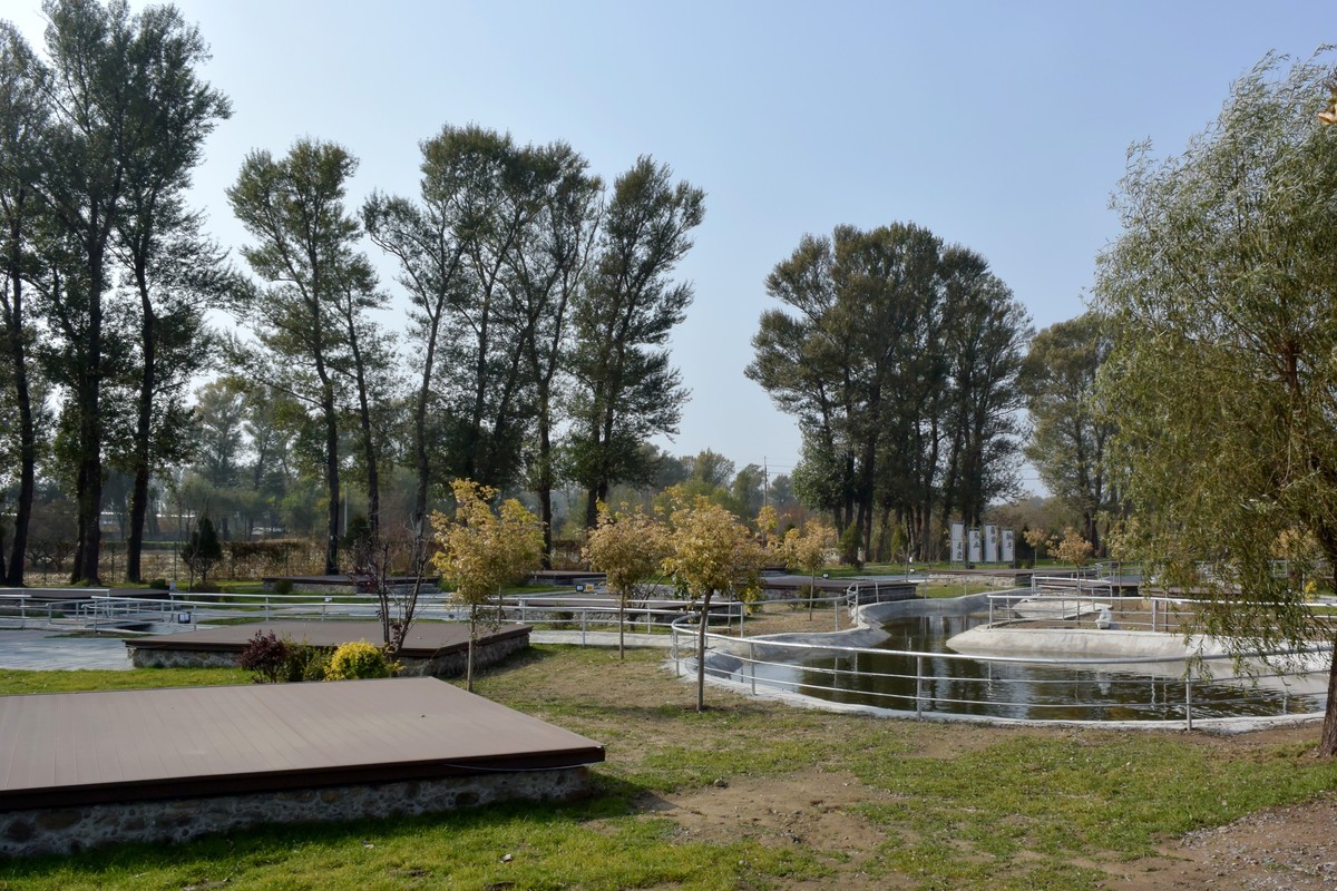 边走边拍（十一）