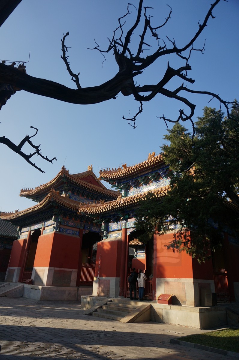 孔庙2——北京行摄