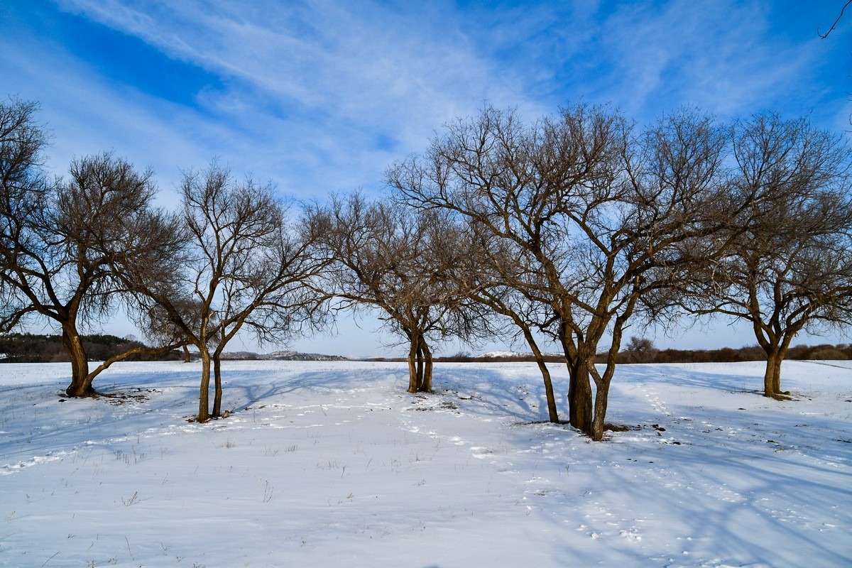 我只是把出去看到的随手记录下来（七十五）
